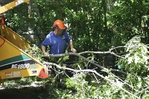 tree services Friendly